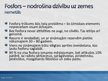 Prezentācija 'Ķīmiskie elementi var kļūt par deficītu', 8.