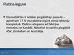 Prezentācija 'Ķīmiskie elementi var kļūt par deficītu', 13.