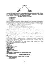 Referāts 'Frizieru māklas attīstība', 3.