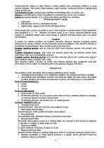 Referāts 'Frizieru māklas attīstība', 4.