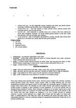 Referāts 'Frizieru māklas attīstība', 9.