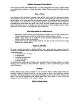 Referāts 'Frizieru māklas attīstība', 16.