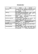 Referāts 'Frizieru māklas attīstība', 17.