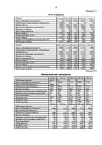 Referāts 'Biznesa procesu reinžinirings', 19.