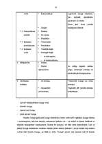 Diplomdarbs 'Līzinga attīstība Latvijā', 20.