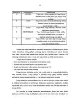 Diplomdarbs 'Līzinga attīstība Latvijā', 38.