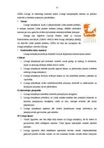 Diplomdarbs 'Līzinga attīstība Latvijā', 53.