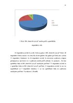 Diplomdarbs 'Sociālo mediju izmantošanas pilnveide reklāmas un informatīvo pakalpojumu uzņēmu', 41.