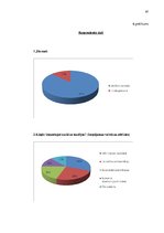 Diplomdarbs 'Sociālo mediju izmantošanas pilnveide reklāmas un informatīvo pakalpojumu uzņēmu', 87.