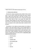 Referāts 'Ģimenes ārstu institūcijas loma un uzdevumi veselības aprūpes sistēmā', 9.