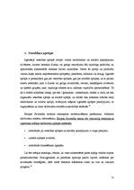 Referāts 'Ģimenes ārstu institūcijas loma un uzdevumi veselības aprūpes sistēmā', 12.