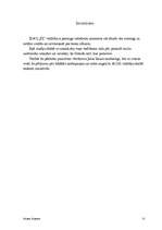 Referāts 'Vadītāja loma, funkcijas', 12.