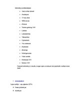 Konspekts 'Datu avoti tūrismā', 2.