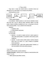 Referāts 'Boulinga attīstības iespējas Cēsīs', 6.