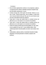 Referāts 'Boulinga attīstības iespējas Cēsīs', 15.