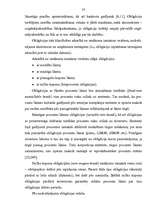 Diplomdarbs 'Parāda vērtspapīru tirgus attīstība Latvijā', 14.