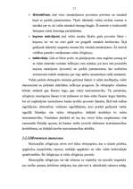 Diplomdarbs 'Parāda vērtspapīru tirgus attīstība Latvijā', 17.