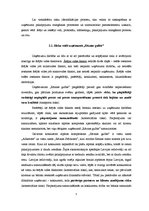 Referāts 'Riska vadīšanas procesa novērtējums uzņēmumā "Rāznas gulbis"', 5.