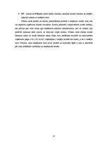 Referāts 'Riska vadīšanas procesa novērtējums uzņēmumā "Rāznas gulbis"', 16.