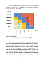 Referāts 'Riska vadīšanas procesa novērtējums uzņēmumā "Rāznas gulbis"', 18.