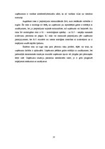 Referāts 'Riska vadīšanas procesa novērtējums uzņēmumā "Rāznas gulbis"', 19.