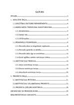 Referāts 'Darbinieku motivācijas līmeņa paaugstināšanas projekts X tehnikumā', 1.