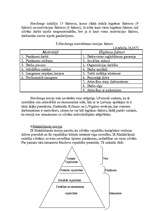 Referāts 'Darbinieku motivācijas līmeņa paaugstināšanas projekts X tehnikumā', 17.