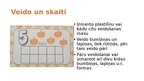 Prezentācija 'Skaitļa 5 apguve', 24.