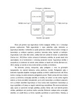 Diplomdarbs 'Organizācijas kultūras izvērtējums un tās pilnveides iespējas uzņēmumā “X”', 14.