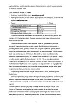 Referāts 'Uzņēmuma X produktu konkurētspēja vietējā tirgū', 5.
