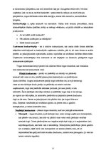 Referāts 'Uzņēmuma X produktu konkurētspēja vietējā tirgū', 11.