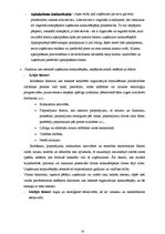 Referāts 'Uzņēmuma X produktu konkurētspēja vietējā tirgū', 14.