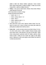 Referāts 'Uzņēmuma X produktu konkurētspēja vietējā tirgū', 30.