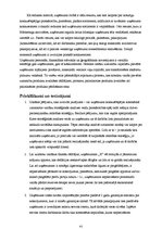 Referāts 'Uzņēmuma X produktu konkurētspēja vietējā tirgū', 41.