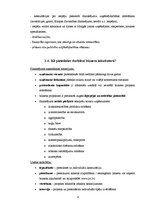 Konspekts 'Biznesa inkubatori', 4.