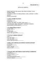 Referāts 'Reklāmas baneru efektivitāte', 18.