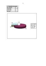 Referāts 'Reklāmas baneru efektivitāte', 21.