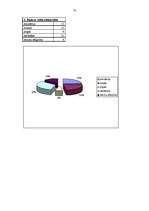 Referāts 'Reklāmas baneru efektivitāte', 23.