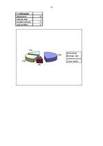 Referāts 'Reklāmas baneru efektivitāte', 24.