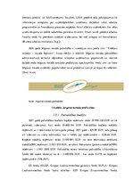 Referāts 'Jelgavas novads: teritorijas raksturojums, SVID analīze un uzņēmējdarbības attīs', 13.