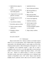 Referāts 'Jelgavas novads: teritorijas raksturojums, SVID analīze un uzņēmējdarbības attīs', 16.