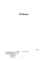 Prakses atskaite 'Informācijas sistēmu vide', 13.