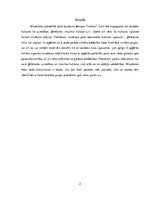 Referāts 'Kontrkultūra', 2.