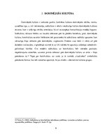 Referāts 'Kontrkultūra', 6.