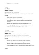 Konspekts 'Es un pasaule rudenī', 11.