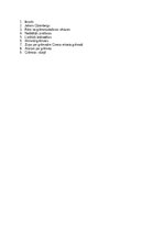 Referāts 'Grāmata – dvēsele dzīvā', 2.