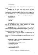 Referāts 'Latvijas komercbanku hipotekāro kredītu izsniegšanas sistēma', 17.