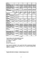 Biznesa plāns 'Sporta halles būvniecība', 17.