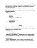 Referāts 'Banku sistēma Latvijā', 6.