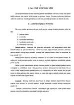 Referāts 'Aizdevumi un ar tiem saistītie riski', 6.